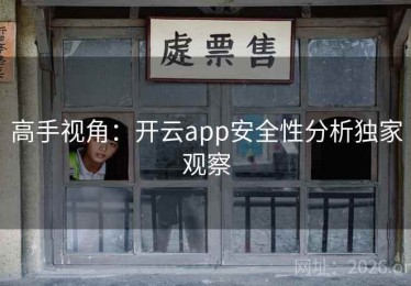 高手视角：开云app安全性分析独家观察