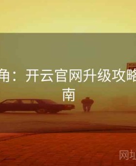 高手视角：开云官网升级攻略权威指南