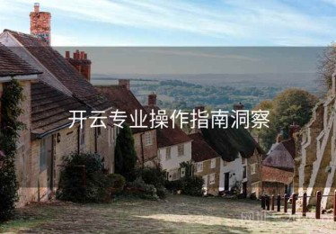 开云专业操作指南洞察