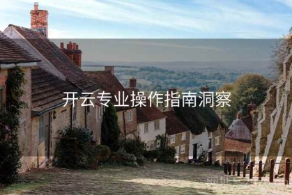 开云专业操作指南洞察