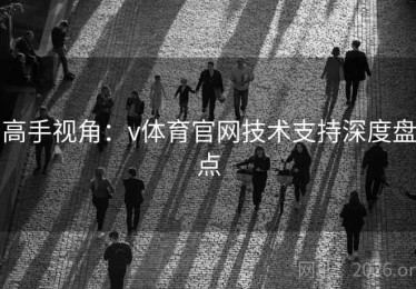 高手视角：v体育官网技术支持深度盘点