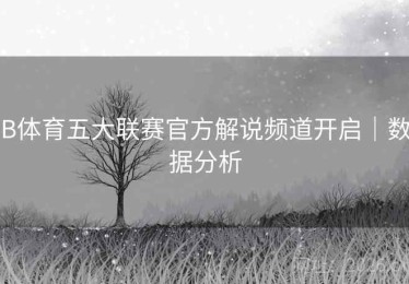 B体育五大联赛官方解说频道开启｜数据分析