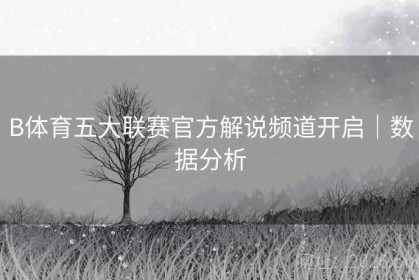 B体育五大联赛官方解说频道开启｜数据分析