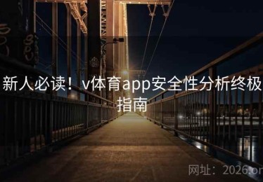 新人必读！v体育app安全性分析终极指南