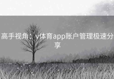 高手视角：v体育app账户管理极速分享