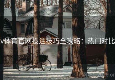 v体育官网投注技巧全攻略：热门对比