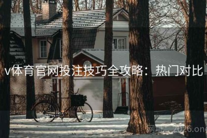 v体育官网投注技巧全攻略：热门对比
