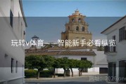 玩转v体育——智能新手必看纵览