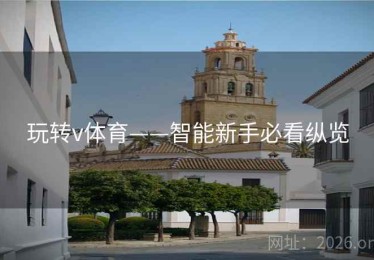 玩转v体育——智能新手必看纵览