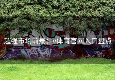 超强市场前景：v体育官网入口盘点
