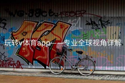 玩转v体育app——专业全球视角详解