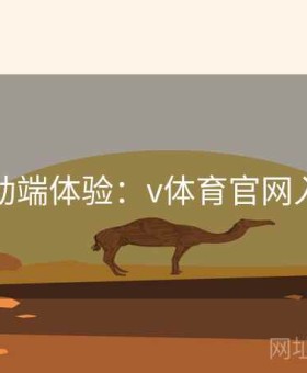 专业移动端体验：v体育官网入口观察