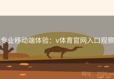 专业移动端体验：v体育官网入口观察