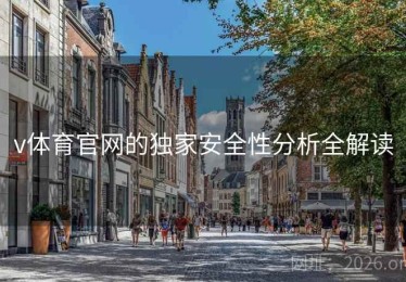v体育官网的独家安全性分析全解读