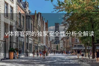 v体育官网的独家安全性分析全解读