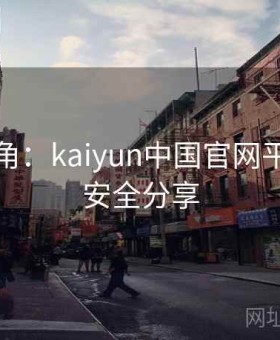 高手视角：kaiyun中国官网平台优势安全分享