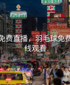 羽毛球免费直播，羽毛球免费直播在线观看