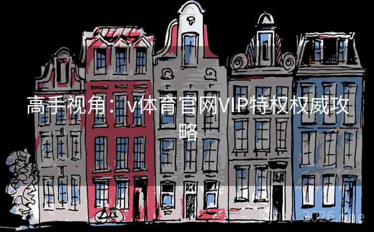 高手视角：v体育官网VIP特权权威攻略