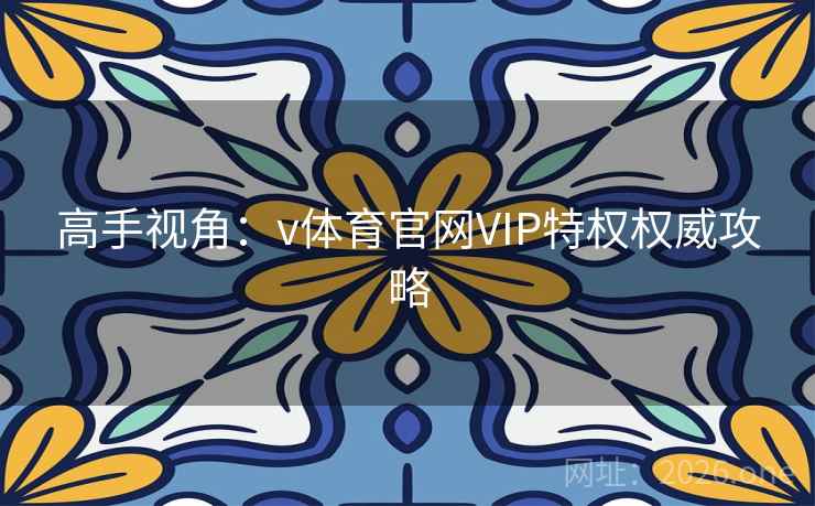 高手视角：v体育官网VIP特权权威攻略