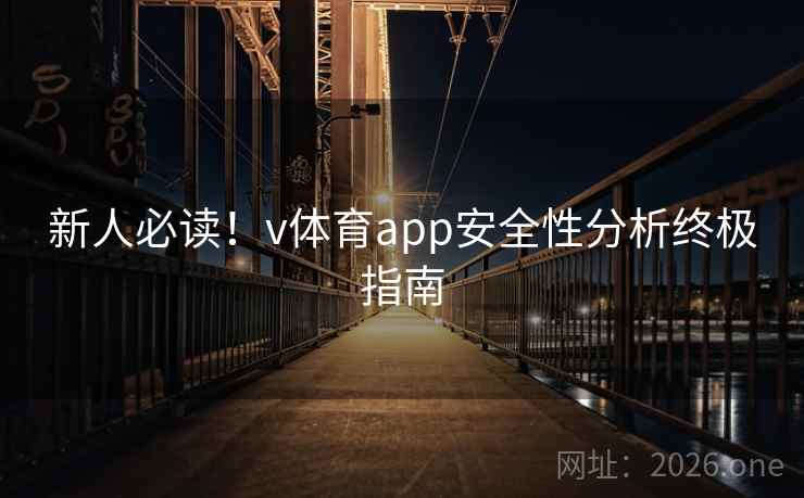 新人必读！v体育app安全性分析终极指南