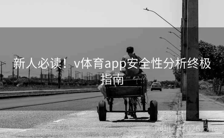 新人必读！v体育app安全性分析终极指南