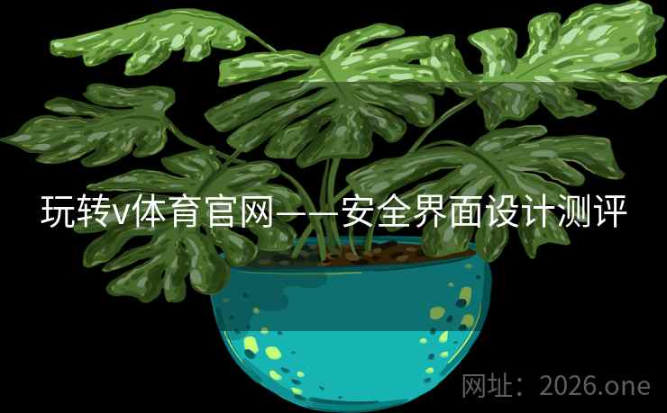 玩转v体育官网——安全界面设计测评