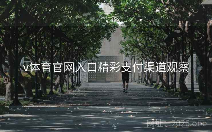 v体育官网入口精彩支付渠道观察