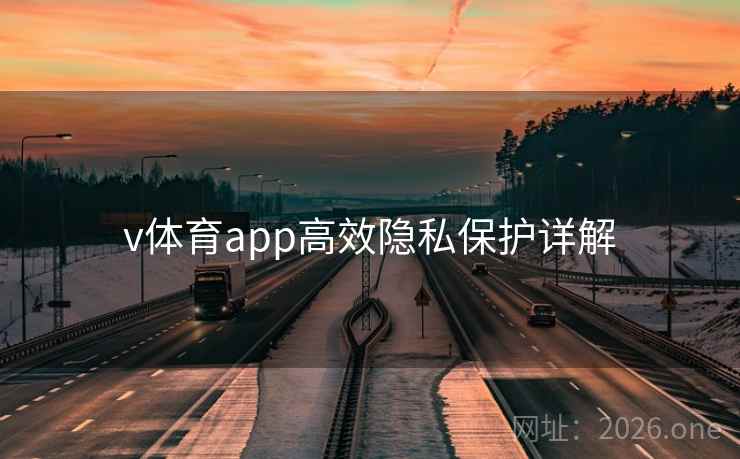 v体育app高效隐私保护详解