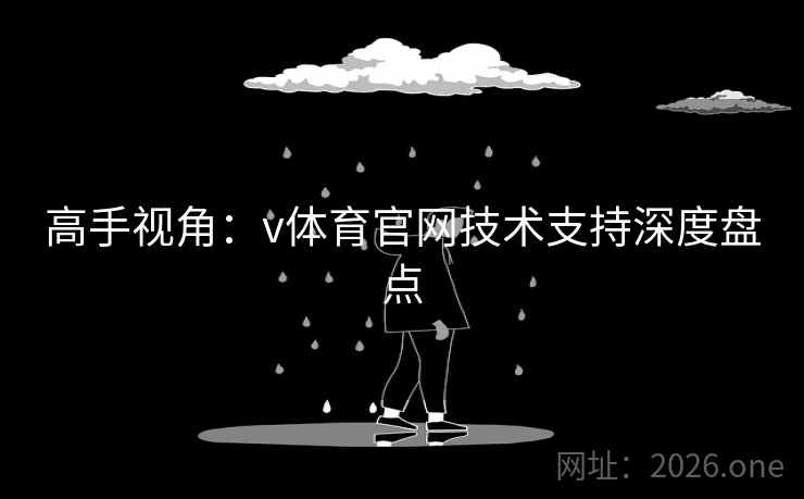 高手视角：v体育官网技术支持深度盘点