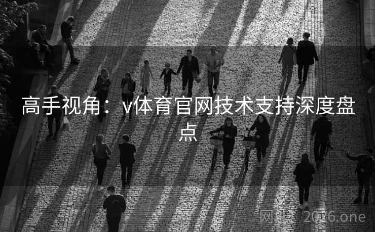 高手视角：v体育官网技术支持深度盘点
