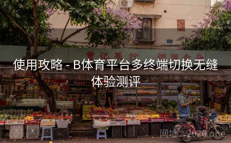 使用攻略 - B体育平台多终端切换无缝体验测评