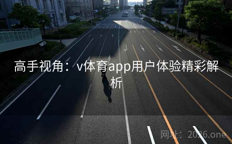 高手视角：v体育app用户体验精彩解析