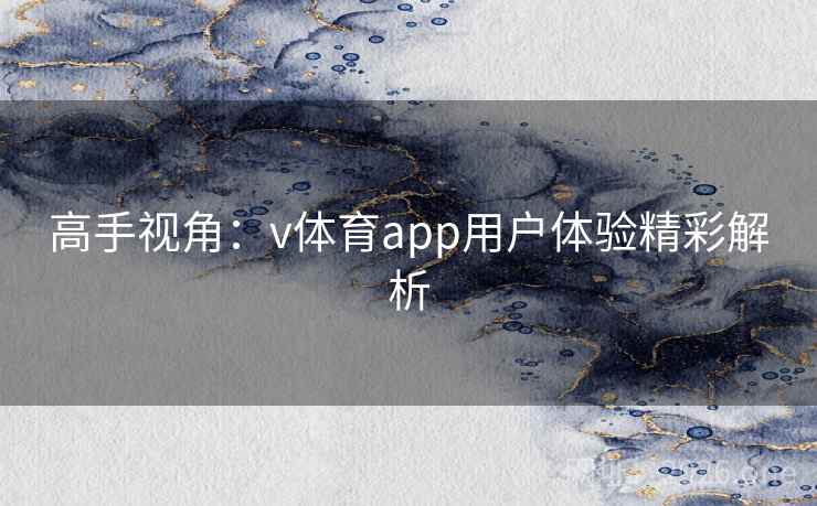 高手视角：v体育app用户体验精彩解析