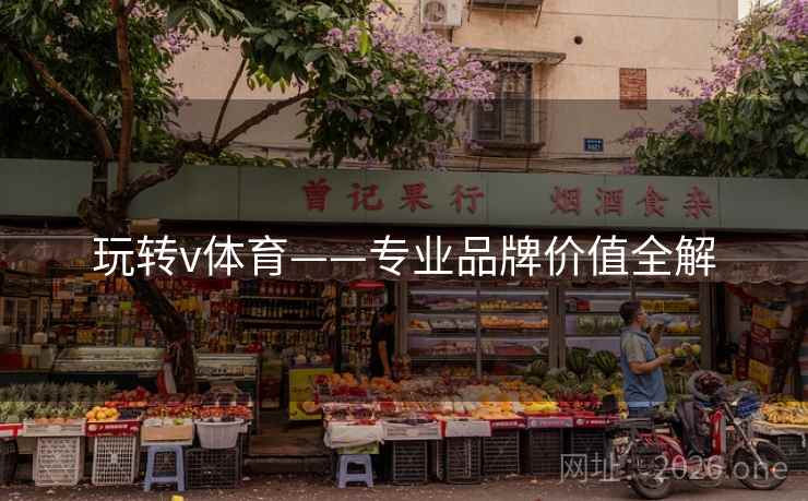 玩转v体育——专业品牌价值全解