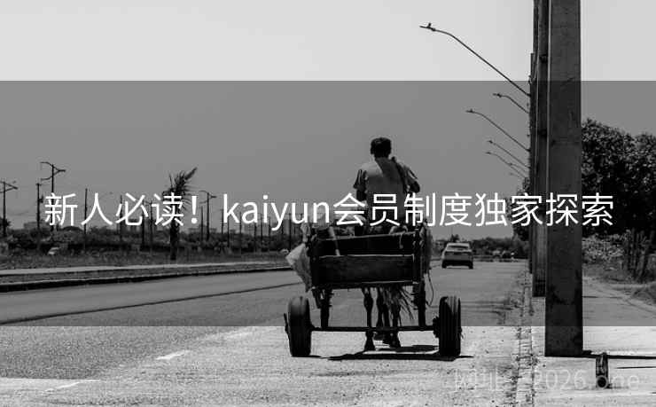 新人必读！kaiyun会员制度独家探索
