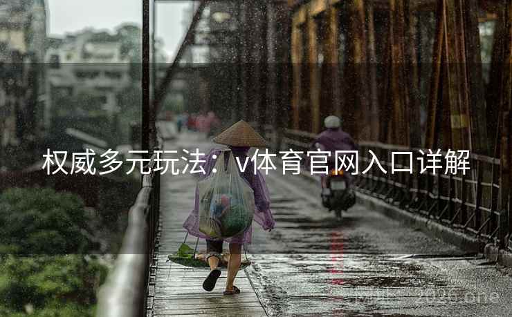 权威多元玩法：v体育官网入口详解
