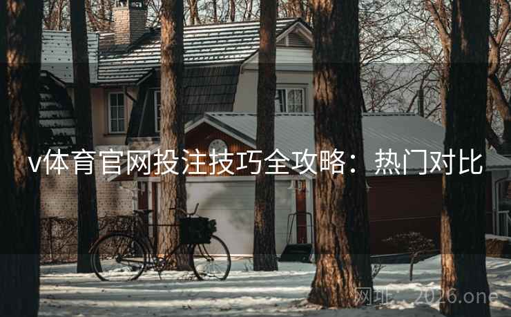v体育官网投注技巧全攻略：热门对比