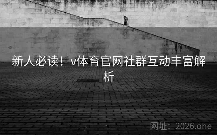 新人必读！v体育官网社群互动丰富解析
