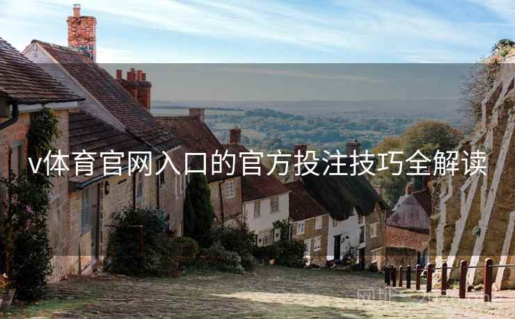 v体育官网入口的官方投注技巧全解读