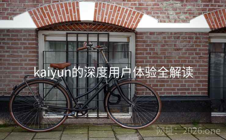 kaiyun的深度用户体验全解读