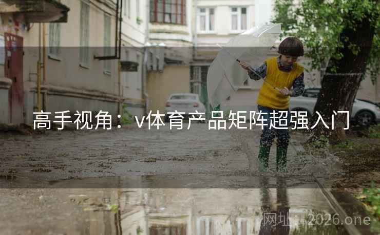 高手视角：v体育产品矩阵超强入门