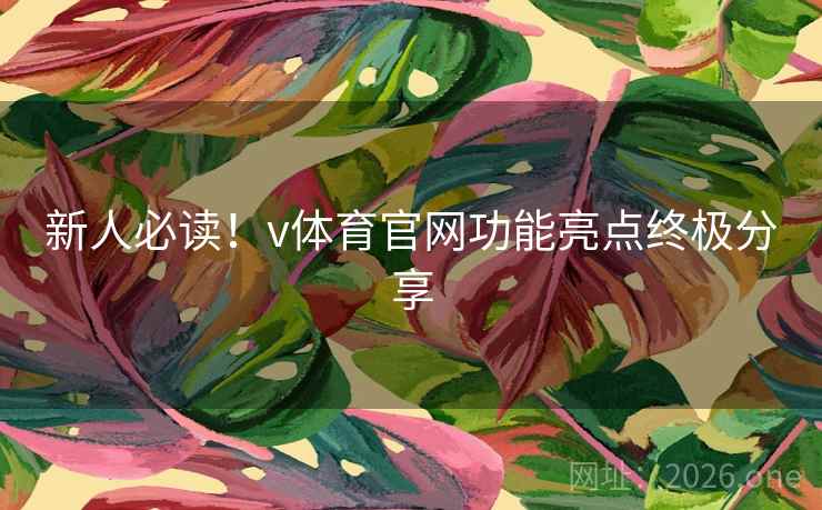 新人必读！v体育官网功能亮点终极分享