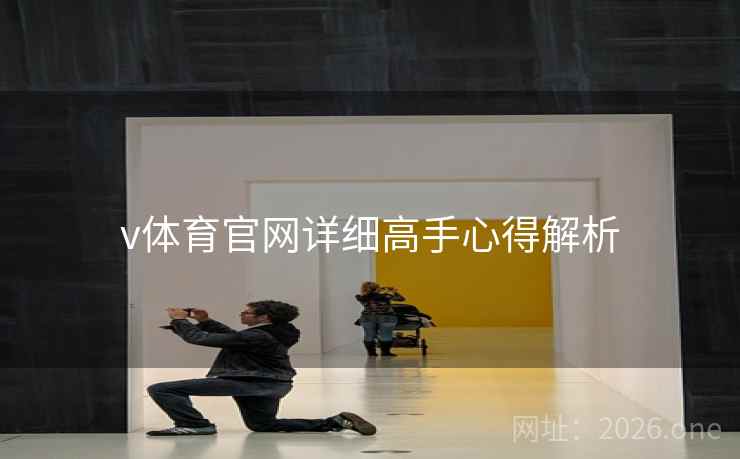 v体育官网详细高手心得解析