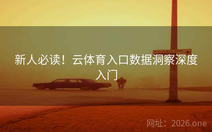 新人必读！云体育入口数据洞察深度入门