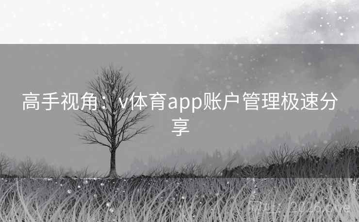 高手视角:v体育app账户管理极速分享 高手视角:v体育app账户管理极速分享