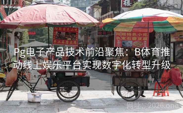 Pg电子产品技术前沿聚焦：B体育推动线上娱乐平台实现数字化转型升级