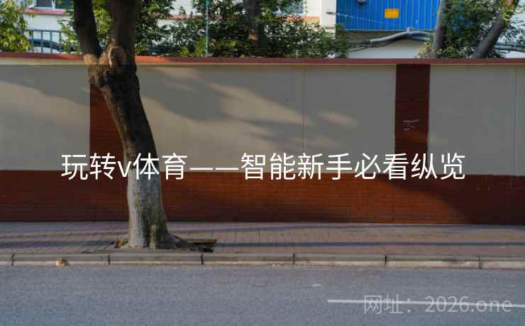 玩转v体育——智能新手必看纵览 玩转v体育——智能新手必看纵览
