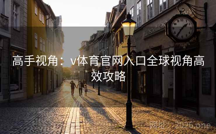 高手视角：v体育官网入口全球视角高效攻略