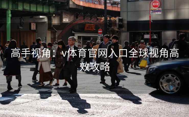 高手视角：v体育官网入口全球视角高效攻略