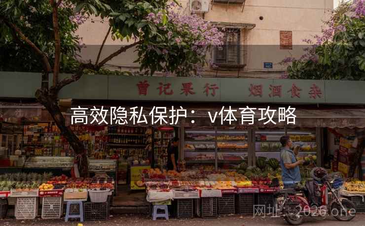 高效隐私保护:v体育攻略 高效隐私保护:v体育攻略